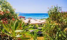 View over oleander bushes and parasols on the blue sea in front of the beach Le Bombarde Alghero