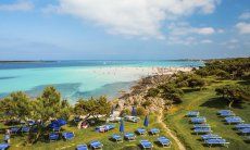 Sunbed rental on the green grass of La Pelosa, Stintino