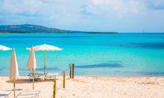 Rental of sunbeds and parasols on the beach of La Pelosa, Stintino