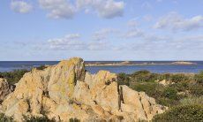 Cliffs on the coast fo Capo Comino