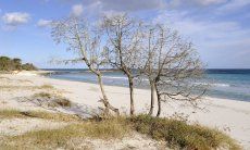 Beach of Cala Ginepro, Gulf of Orosei