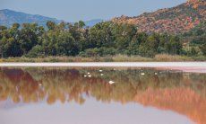 Salt lake in Muravera