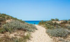 Access to the beach of Geremeas through the dunes