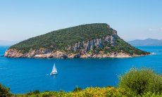 Sailing boat in front of the isle Figarolo, Golfo Aranci