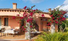 Villa Daniele | Flowering bougainvillea covers the roofed terrace Outdoor with garden and terrace