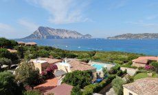 Villa Maestrale | Single standing villa with pool and seaview Villa Maestrale, Cala Ginepro, North Sardinia