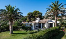Villetta 3 | Hills behind the house and palm trees in the garden House and garden Villetta 3 Costa Rei