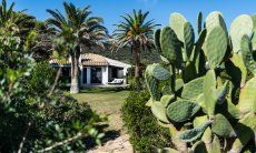 Villetta 3 | Spacious garden Insight into the house Villetta 3 Costa Rei