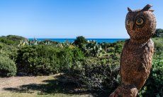 Villetta 3 | The owl, the "gufo", with a view of the house Sea view Villetta 3 Costa Rei