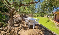 Villa Lucia | Garden table behind the house under an old olive tree New Picture