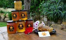 Sardinian honey