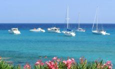 Motorboat Excursions | Boats floating on the crystal clear sea bathroom
