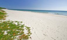 Beach in front of the house