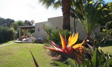 Villa Giangaleazzo | Beautiful Flowers in the garden Beautiful Flowers in the garden