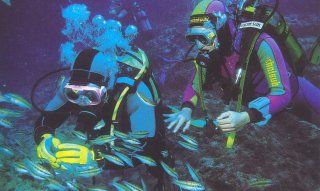 Air Sub Service - Villasimius | Sardinia Sardinia