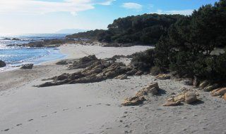 Beautiful coast with white sandy beach near the house 