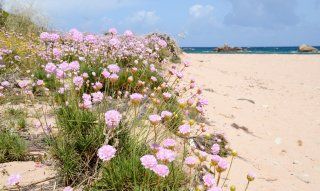 Riu di Li Saldi | Sardinia Beach Riu li Saldi - 10 Minutes with car