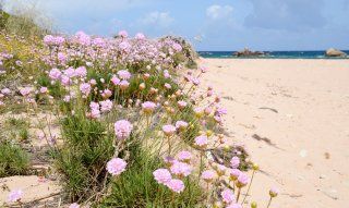 Beach Riu li Saldi - 10 Minutes with car