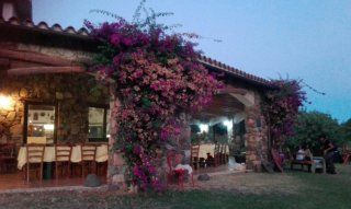 Centro Ippico del Sarrabus - San Priamo | Centro Ippico Agrituristico del Sarrabus Centro Ippico Agrituristico del Sarrabus