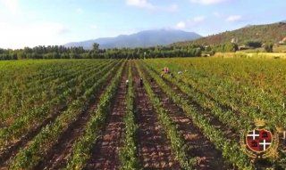 Cantina Sociale di Castiadas | Sardinia Sardinia