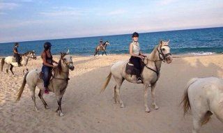 Centro Equestre Iba Sa Cresia - Costa Rei | Sardinia Sardinia