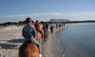 Maneggio La Cinta | Sardinia Sardinia