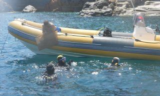 Mediterranea Diving Club | Sardinia Sardinia