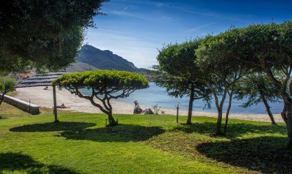 Beach in front of the house